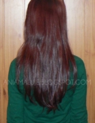 Współpraca PILOMAX