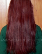 Jak zapuścić idealne brwi