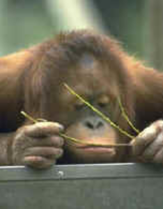 Miasto smutnych ludzi