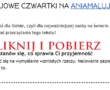 Nowy cykl na blogu : zdrowie