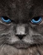 Depilator BRAUN Silk-épil 5 Young beauty…warto?