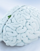 Wnętrza : biurko w szafie