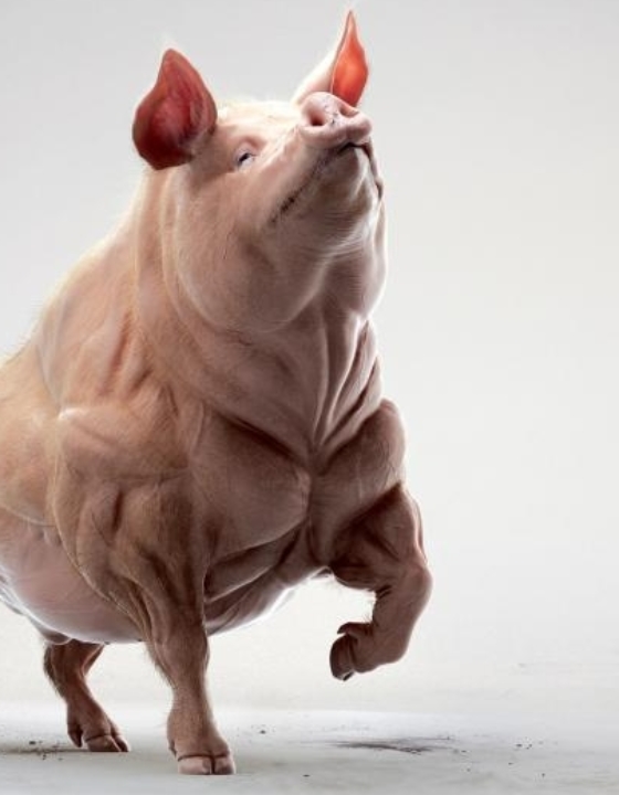 Jesteś gruby? To schudnij!