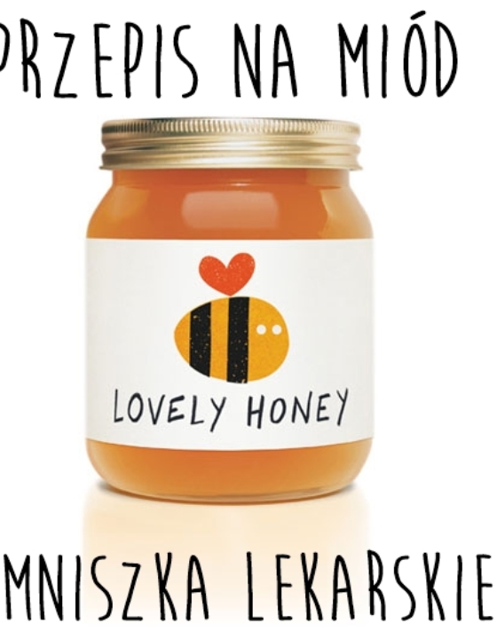Jak zrobić miód z mlecza? (mniszka lekarskiego) : przepis