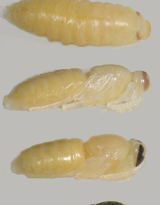 Zmieniłaś się! Nie jesteś taka jak kiedyś!