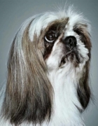 Ponad 20 słów, nad którymi pewnie nigdy się nie zastanawiałeś [ZASKOCZĄ CIĘ]..