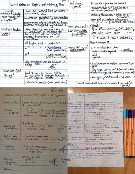 Jak za pomocą prostych trików podnieść efektywność czytania i nauki [FILMIK]