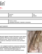 Jak łatwo poprawić sprawność mózgu i koncentrację.