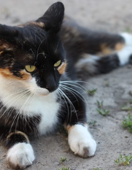 Jak dobrze wychodzić na zdjęciach i  zmienić mentalność przeciętnego Polaka, czyli tygodnik