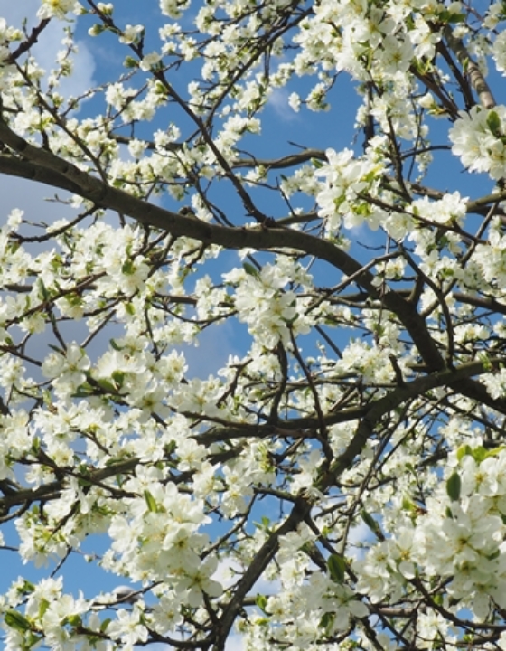 Rozdaję dolary, mówię jak było w Warszawie i kup zmywarkę [TYGODNIK]