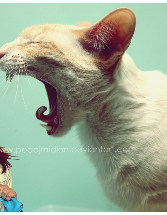 Co  jeszcze powstrzymuje Cię przed pierwszym krokiem?