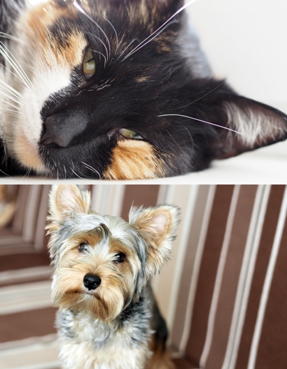 Praca dla Ciebie, loki i nic ciekawego [TYGODNIK]