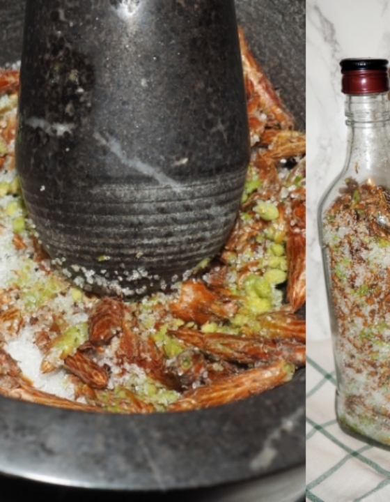 Przepis na majowy syrop z pędów sosny – naturalny sposób na kaszel