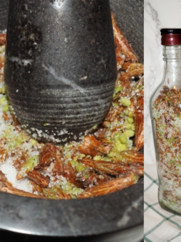 Przepis na majowy syrop z pędów sosny – naturalny sposób na kaszel