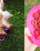 Początek września – nowy początek  ?