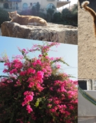 Nieidealna praca zdalna i szampon co mnie poparzył [TYGODNIK]