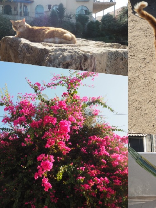 Jak było w Izraelu? Błędy, które popełniłam