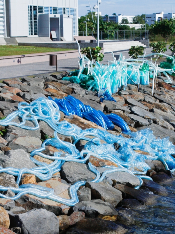 Chcąc pomóc – psujesz, czyli jak uwolnione norki  wpadły pod samochody
