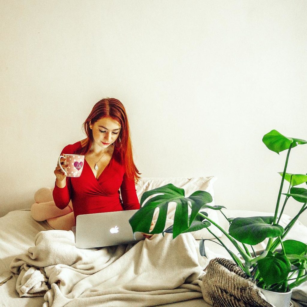 Skąd czerpać informacje?  Aniamaluje rośliny, laptop