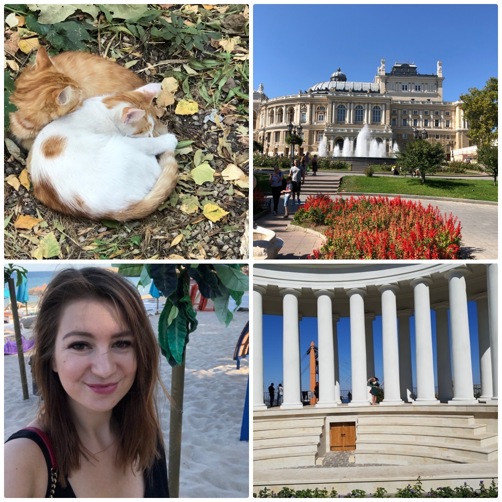 do odessy aniamaluje